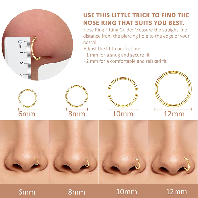 16G 316L Surgical Steel Hinged - Body Jewelry Nose Studs recension och pris