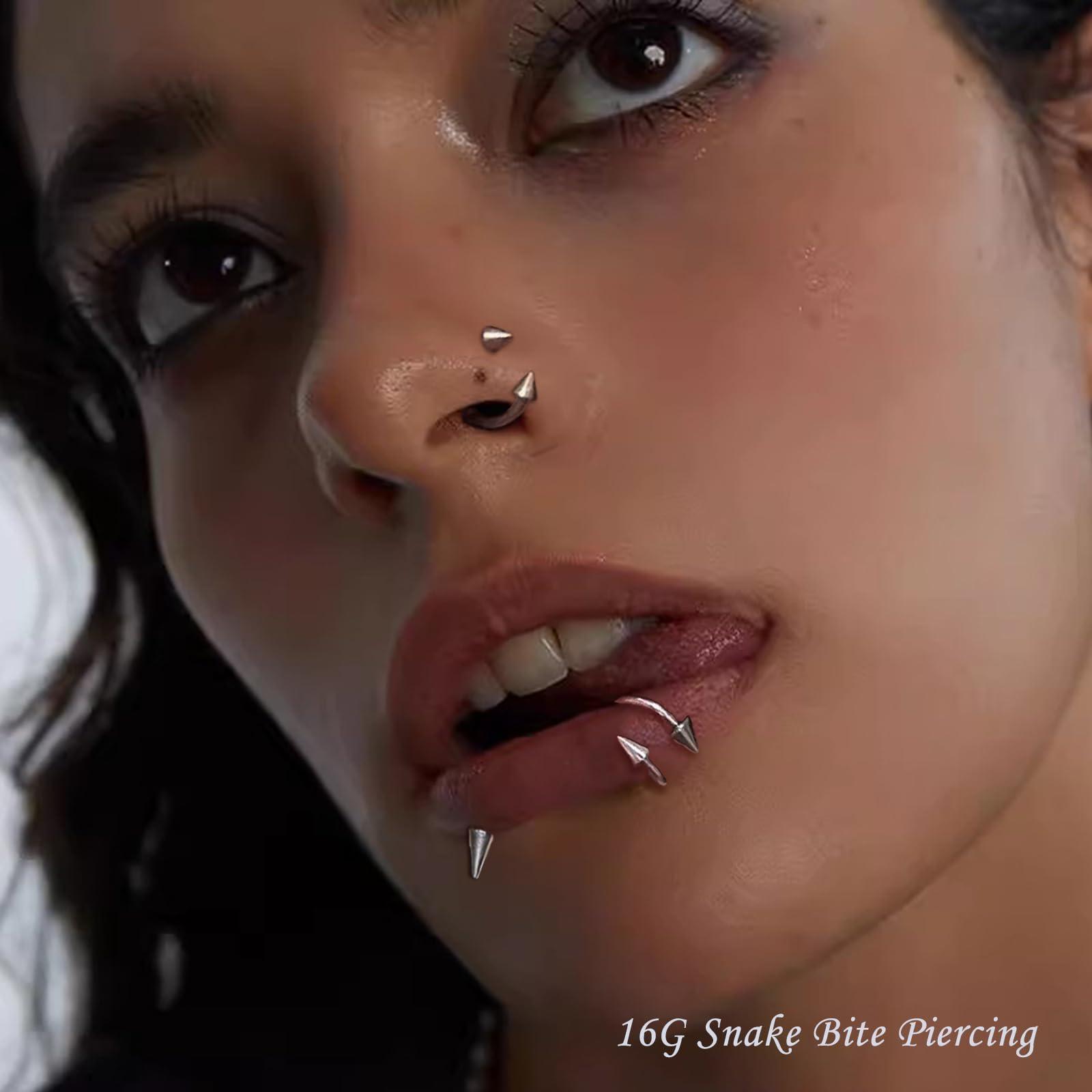 34pcs/Set 16G Snake Bite Pierc - Body Jewelry Vertical Labret recension och pris