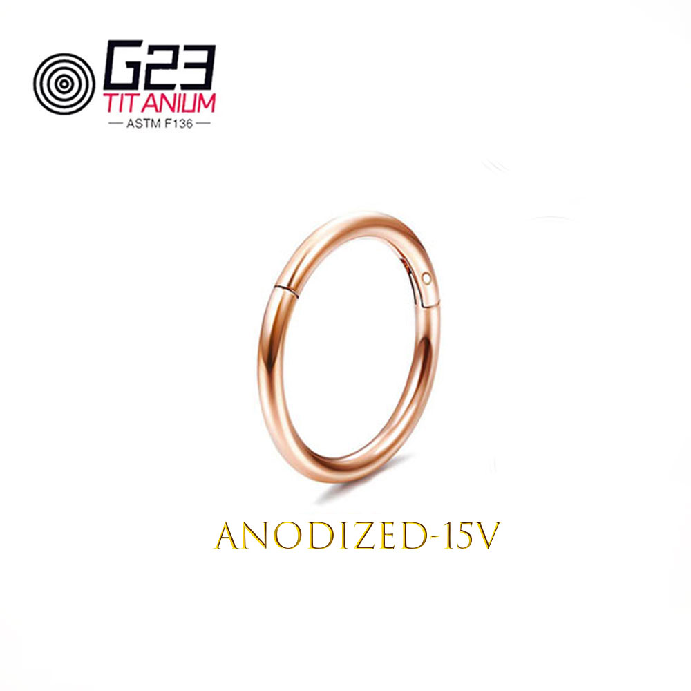 Wholesale G23 Titanium Nose Pi - Body Jewelry Implant Grade Titanium recension och pris