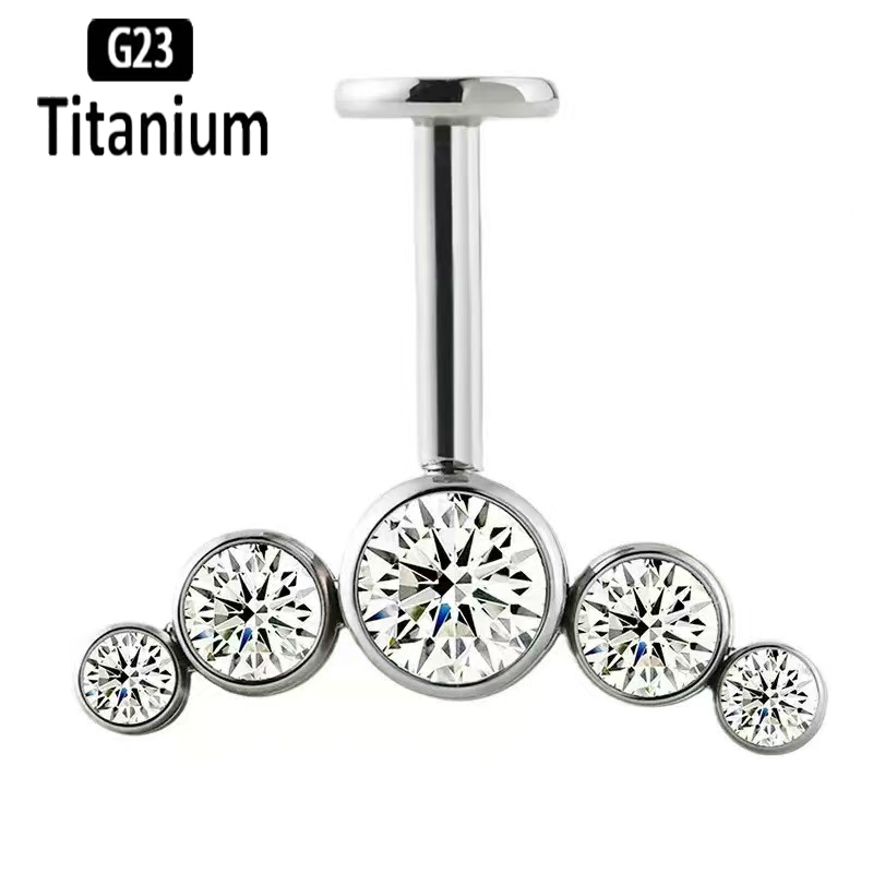 G23 Titanium Ear Piercing Inte - Body Jewelry Vertical Labret recension och pris