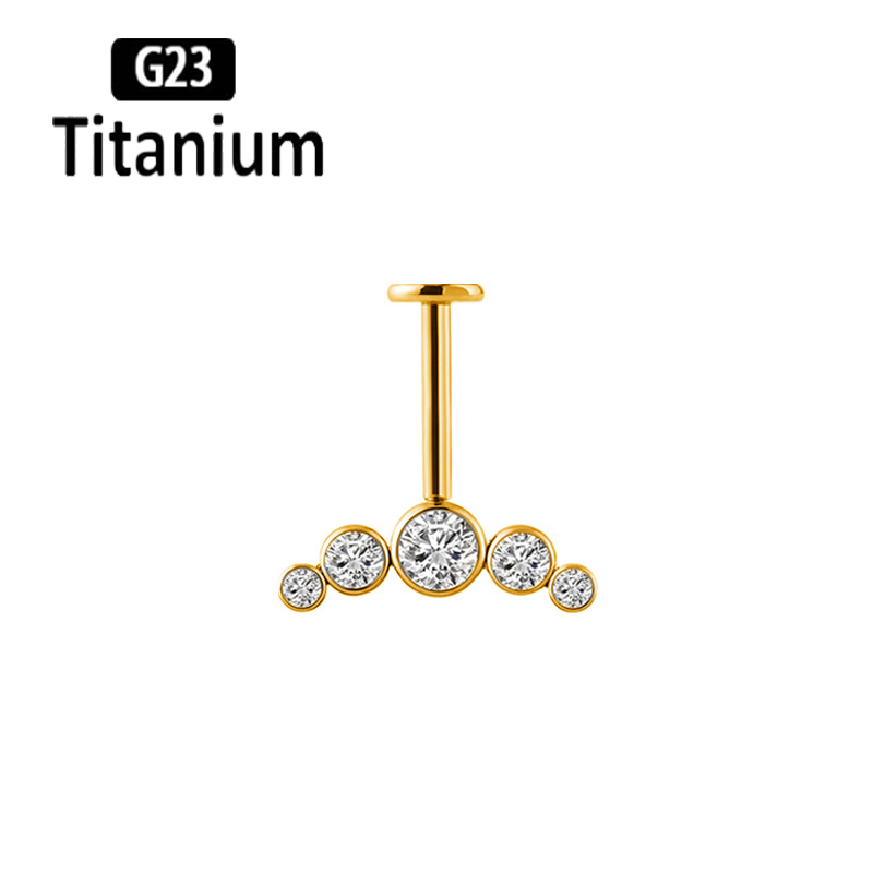 G23 Titanium Ear Piercing Inte - Body Jewelry Vertical Labret recension och pris