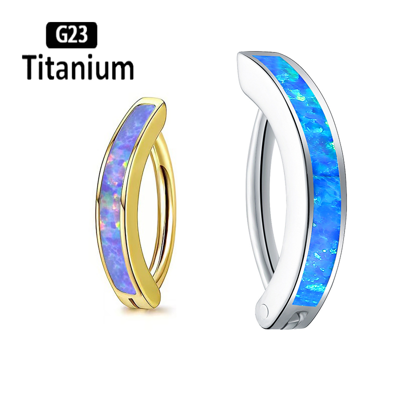 1PC 14G Implant Grade G23 Tita - Body Jewelry Implant Grade Titanium recension och pris
