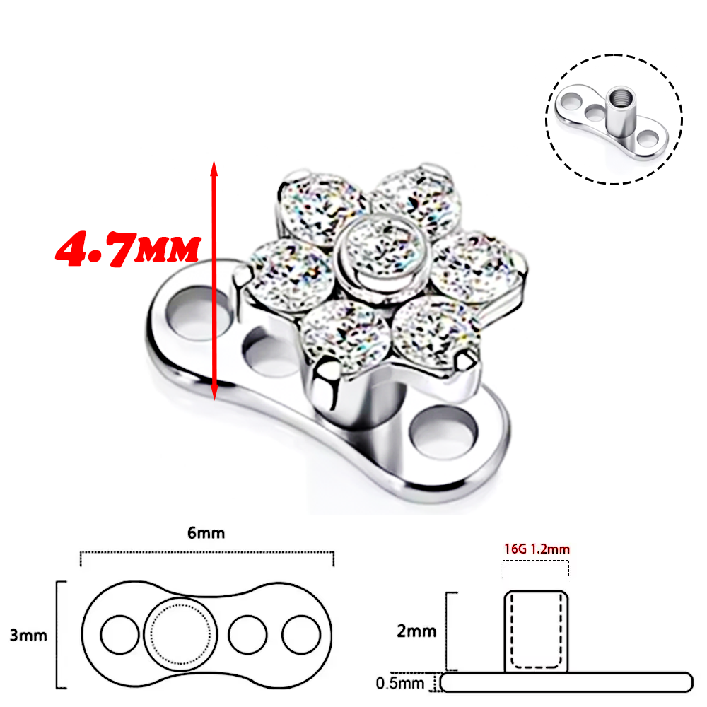 F136 Titanium Alloy High-Quali - Body Jewelry Implant Grade Titanium recension och pris